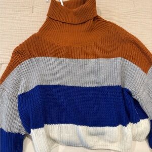 Colorblock Turtleneck Sweater